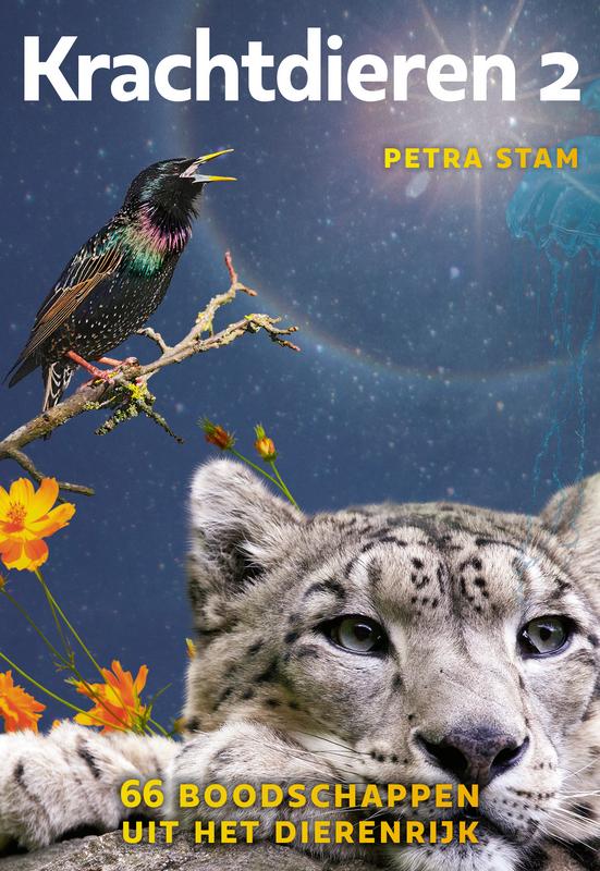 A3 boeken Krachtdieren 2 kaartenset 1.00 Set