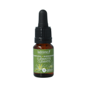 Ladrome Clematis bio 10.00 Milliliter