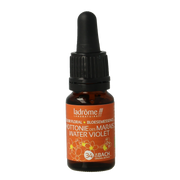 Ladrome Water violet bio 10 Milliliter