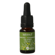 Ladrome Olijf bio 10.00 Milliliter