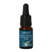 Ladrome Pine / Den 24 bio 10.00 Milliliter