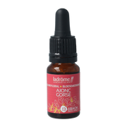 Ladrome Gorse bio 10.00 Milliliter