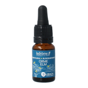 Ladrome Bloesemessence Elm bio 10.00 Milliliter