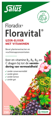 Salus Floradix floravital 250.00 Milliliter