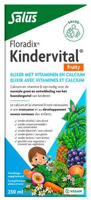 Salus Floradix kindervital fruity glutenvrij 250.00 Milliliter