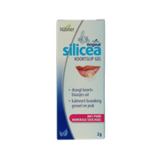 Hubner Silicea koortslip gel 2.00 Gram