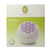 Primavera Aroma fan flower 1.00 Stuks