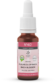Bach Bloesem Bach bloesems mengeling 40 energie bio  20.00 Milliliter