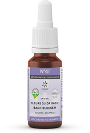 Bach Bloesem Bach bloesems mengeling 41 concentratie bio  20.00 Milliliter