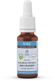 Bach Bloesem Bach bloesems mengeling 42 vertrouwen bio  20.00 Milliliter