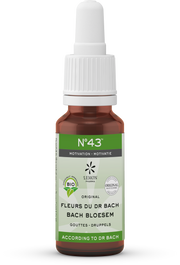 Bach Bloesem Bach bloesems mengeling 43 motivatie bio  20.00 Milliliter