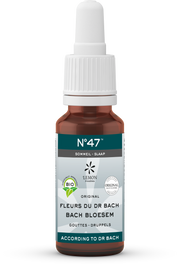 Bach Bloesem Bach bloesems mengeling 47 slaap bio  20.00 Milliliter