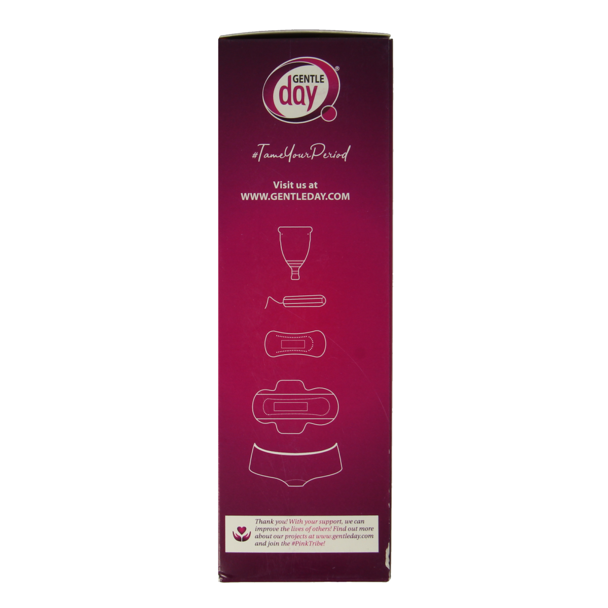Gentle Day Intieme wasgel 250.00 Milliliter