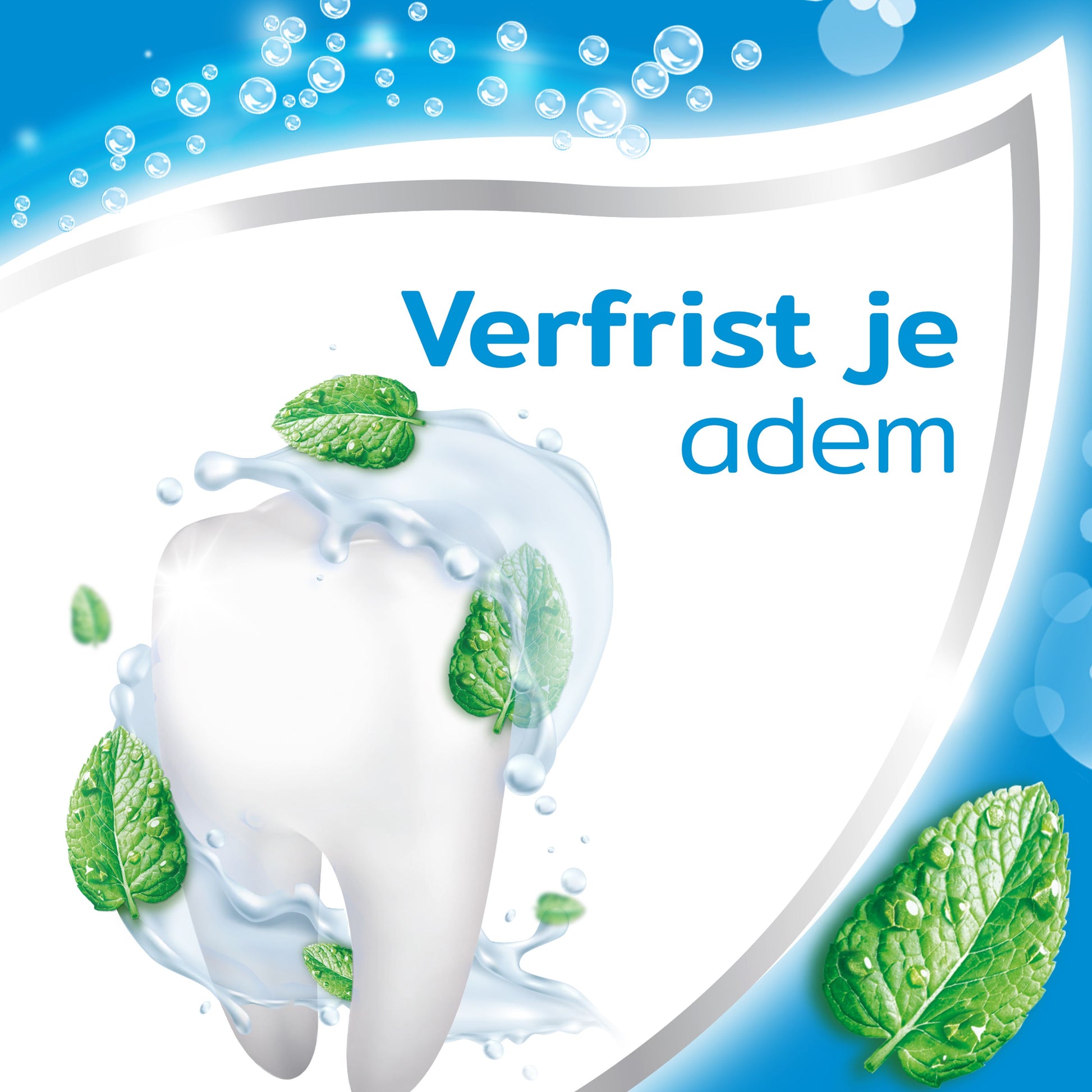 Aquafresh Tandpasta coolmint 75 Milliliter