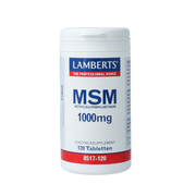 Lamberts MSM 1000mg 120 Tabletten
