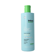 Imbue Coil rejoicing leave in conditioner 400.00 Milliliter