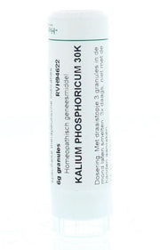 Homeoden Heel Kalium phosphoricum 30K 6.00 Gram