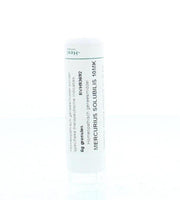 Homeoden Heel Mercurius solubilis 10MK 6.00 Gram