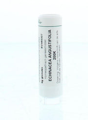 Homeoden Heel Echinacea angustifolia 200K 6.00 Gram