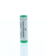Homeoden Heel Hepar sulphur D6 1.00 Gram
