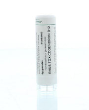 Homeoden Heel Rhus toxicodendron D12 6.00 Gram