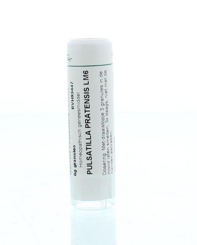 Homeoden Heel Pulsatilla pratensis LM6 6.00 Gram