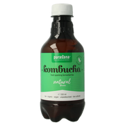 Purasana Kombucha natural vegan bio 330.00 Milliliter