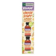 Damhert Energy shot gember duo 150 Gram