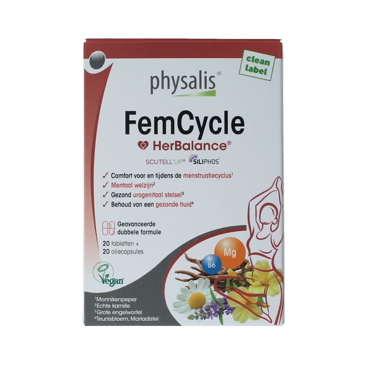 Physalis FemCycle 20.00 Tabletten