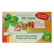Xyligum Fruit 15.00 Gram