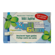 Xyligum Peppermint 12 Stuks