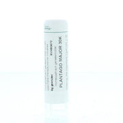Homeoden Heel Plantago major 30K 6.00 Gram