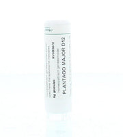 Homeoden Heel Plantago major D12 6.00 Gram