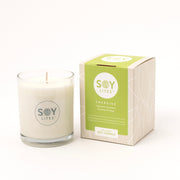 Soylites Soja geurkaars energise 70.00 Milliliter