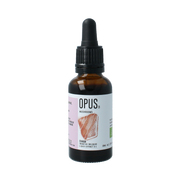 Opus Mushrooms Chaga 2:1 bio 30.00 Milliliter