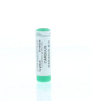 Homeoden Heel Carduus marianus 4CH 1.00 Gram