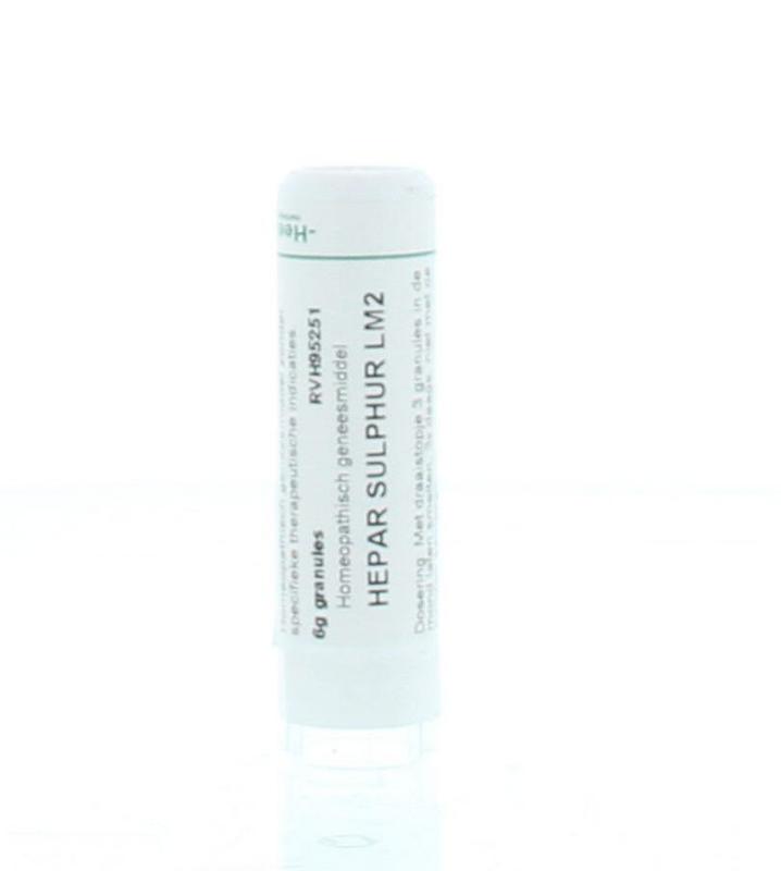 Homeoden Heel Hepar sulphur LM2 6.00 Gram