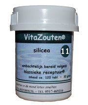 Vitazouten Silicea VitaZout Nr. 11 120.00 Tabletten