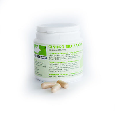 Naturapharma Ginkgo biloba CMN plus 100 Vegetarische capsules