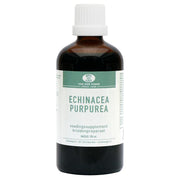 van der Pigge Echinacea purpurea 100.00 Milliliter