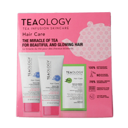 Teaology Peach tea hair kit 1.00 Stuks