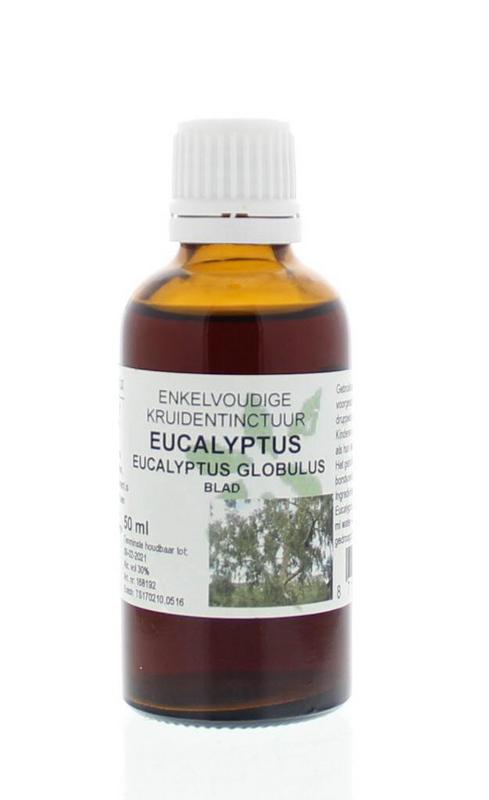 Cruydhof Eucalyptus globulus folia tinctuur 50.00 Milliliter