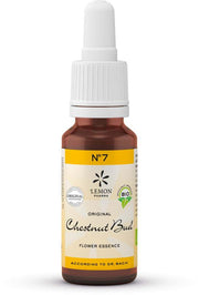 Bach Bloesem Bach bloesemremedies chestnut bud bio 20.00 Milliliter