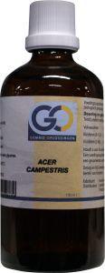 GO Acer campestris bio 100 Milliliter