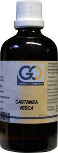 GO Castanea vesca bio 100 Milliliter
