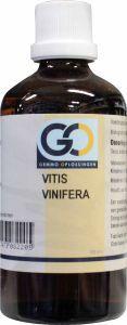 GO Vitis vinifera bio 100 Milliliter