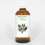 Balancepharma Gemmo simplex 15 ficus carica 100.00 Milliliter