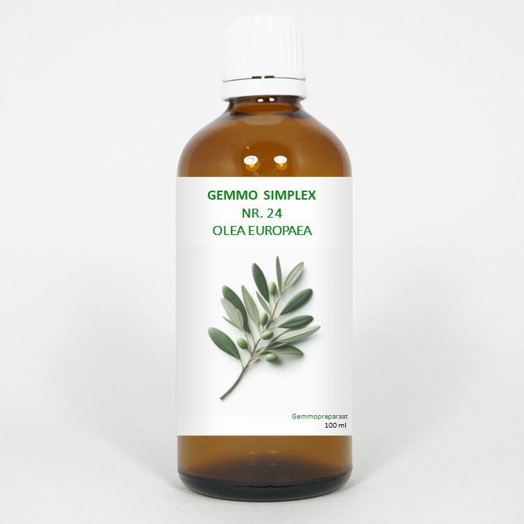 Balancepharma Gemmo simplex 24 olea europaea 100.00 Milliliter