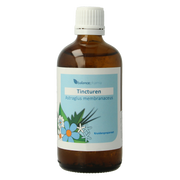 Balancepharma Astragalus membranaceus tincturen 100.00 Milliliter