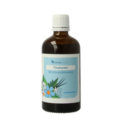 Balancepharma Betula pubescens tincturen 100.00 Milliliter